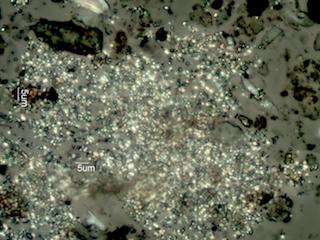 Guanamine