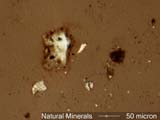 Quartz Sand Grain