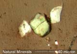 Sand Grains