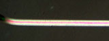 Nylon Fiber