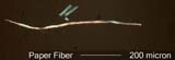Paper Fiber with Sizing