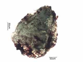 Mica, Glauconite